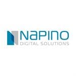 Napino Digital Solutions logo