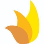 Novadontics logo