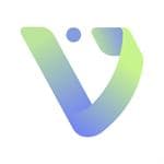 Voiset logo