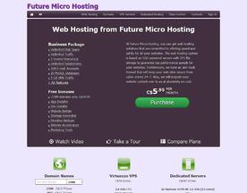 Future Micro Hosting