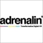 Adrenalin eSystems Limited