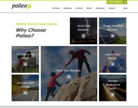 Polleo Systems