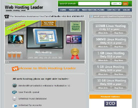 Web Hosting Leader