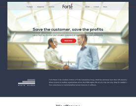 Forte Consultancy Group