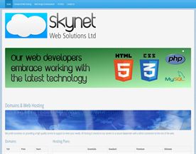 Skynet Web Solutions Ltd