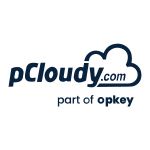 pCloudy