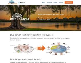 Blue Banyan Solutions