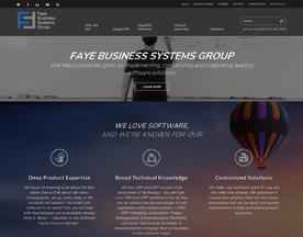 Faye Business Systems Group