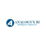 Analogyx BI